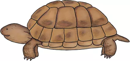 Vorschau - selbst erstellte Cliparts/Grafiken - Clipart Schildkröte Freebie - Seite 2