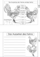 Vorschau - Arbeitsblätter - Einfaches Forscherheft - Huhn - Seite 3