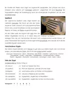 Vorschau - Arbeitsblätter - Arbeitsblatt "Die Orgel" mit Erklärvideo, Lösungen und Onlineübungen - Seite 1