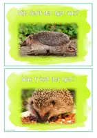 Vorschau - Unterrichtsreihen - Lapbookmaterial Igel - Seite 2