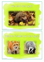 Vorschau - Unterrichtsreihen - Lapbookmaterial Igel - Seite 3