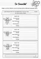 Vorschau - Stundenentwürfe - Honigbiene - Der Bienenstaat - Seite 3
