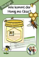 Vorschau - Stundenentwürfe - Honigbiene - Wie kommt der Honig ins Glas? - Deckblatt