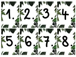 Vista previa - Tarjetas / Manipulativos - Calendario para la clase de los loros (blanco) - página 1