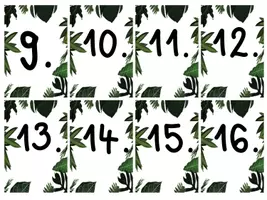 Vista previa - Tarjetas / Manipulativos - Calendario para la clase de los loros (blanco) - página 2
