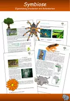 Vorschau - Stundenentwürfe - Symbiose – Erarbeitet mit Rollenkarten - Deckblatt