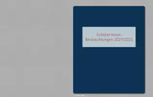 Vorschau - Lehrpläne/Lehrermaterial - Schülerbeobachtung 21/22 - Seite 2