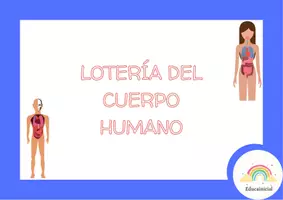 Vista previa - Juegos / Gamificación - Lotería Partes del cuerpo - Portada