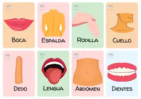 Vista previa - Juegos / Gamificación - Lotería Partes del cuerpo - página 3