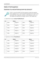 Vorschau - Arbeitsblätter - Stationentraining zum Thema Sinnesorgane zu Experimento | 8+ - Seite 2