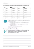 Vorschau - Arbeitsblätter - Stationentraining zum Thema Sinnesorgane zu Experimento | 8+ - Seite 3