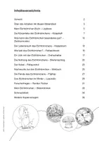 Vorschau - Arbeitsblätter - Lapbook Eichhörnchen (1./2. Klasse, zweifach differenziert) - Seite 3
