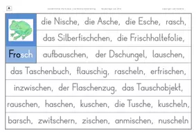 Vorschau - Arbeitsblätter - Konzentriertes Wortschatz- und Rechtschreibtraining - Wörter mit der Konsonantenverbindung SCH in der Mitte oder am Wortende - Seite 3