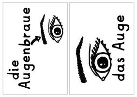 Vorschau - Bildkarten - Bild&Schrift Karten Sammlung - DaZ / DaF - Grundschule - Seite 2