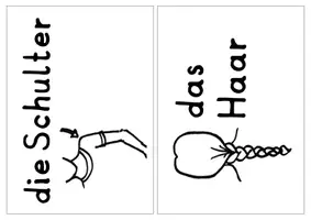 Vorschau - Bildkarten - Bild&Schrift Karten Sammlung - DaZ / DaF - Grundschule - Seite 3