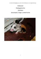 Vorschau - Spiele - Endloslied Endlosreim Endlosgeschichte Maus Katze Hund Mensch Geschichtenklang - Deckblatt