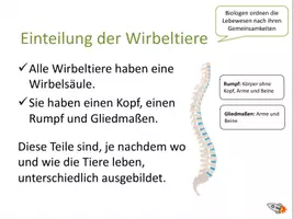 Vorschau - Spiele - Materialpaket "Einteilung der Wirbeltiere" - Deckblatt