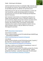 Vorschau - Arbeitsblätter - Buchsbaumzünsler - Bedrohung im Ökosystem Aufgaben Lösungen - Seite 3