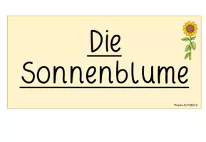 Vorschau - Mal- und Bastelvorlagen - Kunst Klasse 1/2: Die Sonnenblume - Seite 1