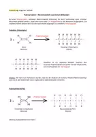 Vorschau - Stundenentwürfe - Polymerisation - Riesenmoleküle aus kleinen Monomeren - Seite 2