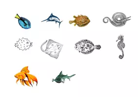 Vorschau - Arbeitsblätter - Unterrichtsreihe zum Thema: Fische - Seite 3