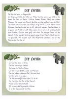 Vorschau - Text - Gorilla Info-Karteikarte - G wie Gorilla - Seite 3