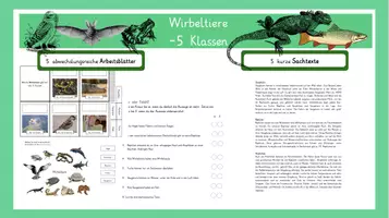 Vorschau - Arbeitsblätter - 5 Klassen der Wirbeltiere- Sachtexte und Arbeitsblätter - Deckblatt