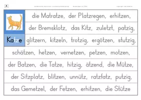Vorschau - Arbeitsblätter - Konzentriertes Wortschatz- und Rechtschreibtraining - Wörter mit TZ - Seite 2
