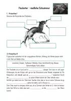 Vorschau - Arbeitsblätter - Arbeitsblätter Otter, Fischotter + Lösungen - Deckblatt