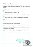 Vorschau - Arbeitsblätter - Arbeitsblätter Otter, Fischotter + Lösungen - Seite 3