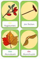 Vorschau - Bildkarten - Bildkarten DAZ Herbst - Seite 3