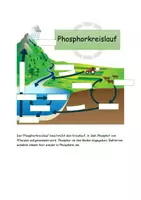 Vorschau - Stundenentwürfe - Materialpaket Kreisläufe - Seite 3