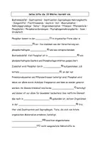 Vorschau - Arbeitsblätter - Der Phosphorzyklus Grafik Aufgabe Lösung - Seite 3