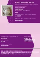 Vorschau - Mal- und Bastelvorlagen - Ausweis für Kuscheltiere - Vorlage für Canva - Deckblatt