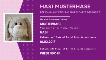 Vorschau - Mal- und Bastelvorlagen - Ausweis für Kuscheltiere - Vorlage für Canva - Seite 1