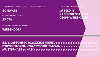 Vorschau - Mal- und Bastelvorlagen - Ausweis für Kuscheltiere - Vorlage für Canva - Seite 2