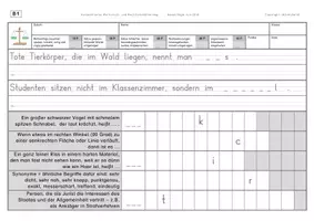 Vorschau - Arbeitsblätter - Konzentriertes Wortschatz- und Rechtschreibtraining - Wörter mit Doppel-a - Seite 3