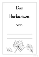 Vorschau - Arbeitsblätter - Herbarium zu heimischen Baumarten - versch. Versionen - Seite 3