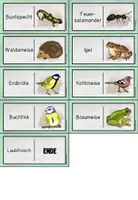 Vorschau - Stationenlernen - Waldtiere - Domino - Seite 2