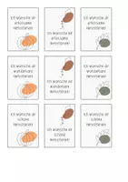 Vorschau - Mal- und Bastelvorlagen - Feriengrüße/ Grußkärtchen Herbst ("line art") - Seite 1