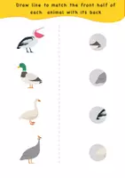 Vista previa - Unidades / Secuencias / Situaciones de Aprendizaje - Worksheet: match animal body parts / Hoja de trabajo: emparejar partes del cuerpo de los animales - página 1