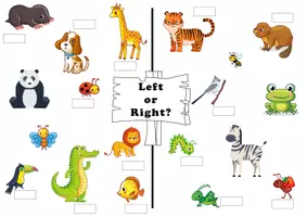 Vista previa - Unidades / Secuencias / Situaciones de Aprendizaje - Position worksheets: Left and right (with animal cards) / Hojas de trabajo: izquierda y derecha (con cartas de animales) - página 2