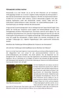 Vorschau - Arbeitsblätter - Experimente zum Klimawandel - Seite 1