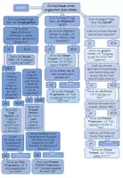 Vorschau - Poster - Tenses Übersicht "Test": Welche Zeitform nutze ich? - Deckblatt