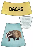 Vorschau - Unterrichtsreihen - Der Wald - Das wachsende XXL - Sparpaket (BUNDLE) - Seite 2