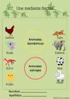 Vista previa - Juegos / Gamificación - Animales domésticos y salvajes - página 2