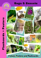 Vista previa - Juegos / Gamificación - Bugs and Insects Flashcards and Posters - Portada