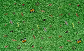 Vista previa - Juegos / Gamificación - Bugs and Insects Flashcards and Posters - página 1