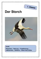 Vorschau - Arbeitsblätter - Der Storch 1. Klasse Sachunterricht - Deckblatt
