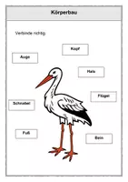 Vorschau - Arbeitsblätter - Der Storch 1. Klasse Sachunterricht - Seite 2